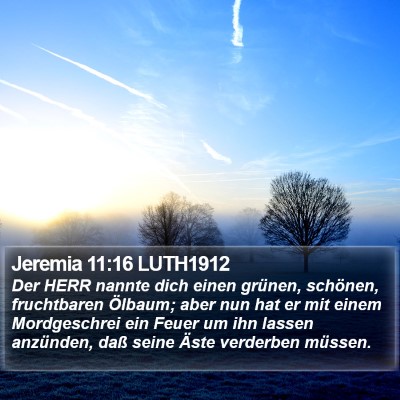 Jeremia 11:16 LUTH1912 Bible Verse Image