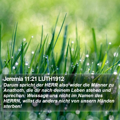 Jeremia 11:21 LUTH1912 Bible Verse Image