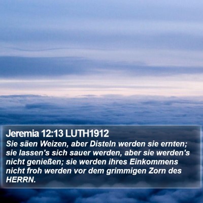 Jeremia 12:13 LUTH1912 Bible Verse Image
