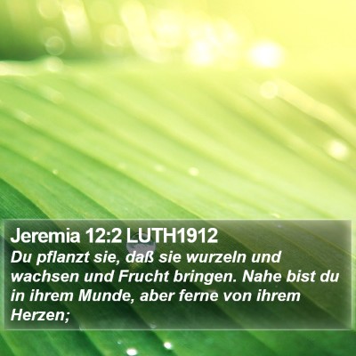 Jeremia 12:2 LUTH1912 Bible Verse Image
