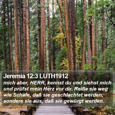 Jeremia 12:3 LUTH1912 Bible Verse Image