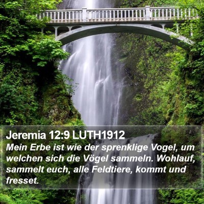 Jeremia 12:9 LUTH1912 Bible Verse Image