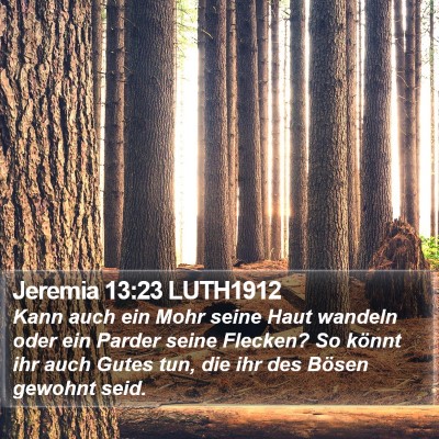 Jeremia 13:23 LUTH1912 Bible Verse Image