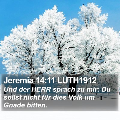 Jeremia 14:11 LUTH1912 Bible Verse Image