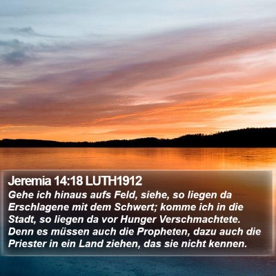 Jeremia 14:18 LUTH1912 Bible Verse Image