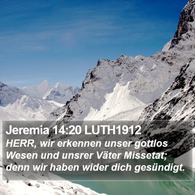Jeremia 14:20 LUTH1912 Bible Verse Image