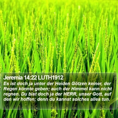 Jeremia 14:22 LUTH1912 Bible Verse Image