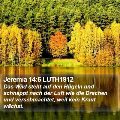 Jeremia 14:6 LUTH1912 Bible Verse Image