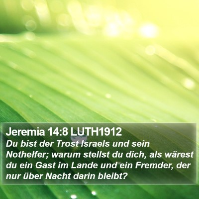 Jeremia 14:8 LUTH1912 Bible Verse Image