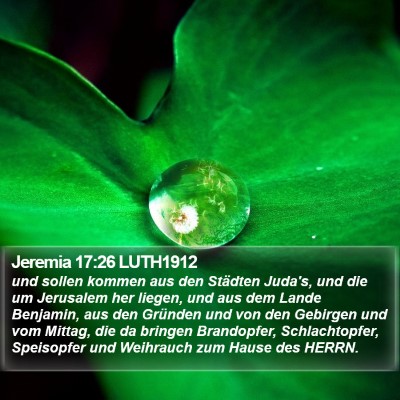 Jeremia 17:26 LUTH1912 Bible Verse Image