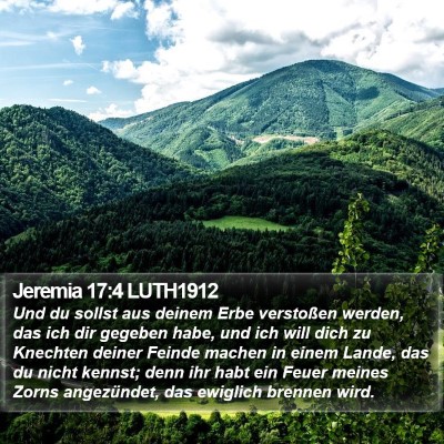 Jeremia 17:4 LUTH1912 Bible Verse Image