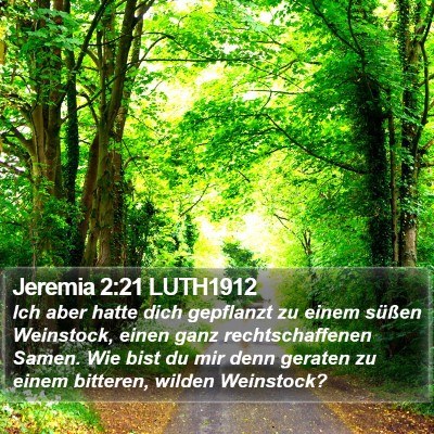 Jeremia 2:21 LUTH1912 Bible Verse Image