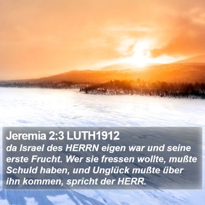 Jeremia 2:3 LUTH1912 Bible Verse Image