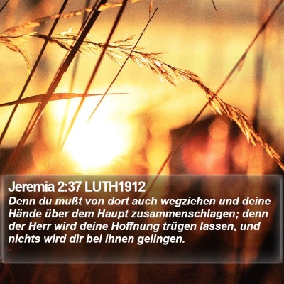 Jeremia 2:37 LUTH1912 Bible Verse Image