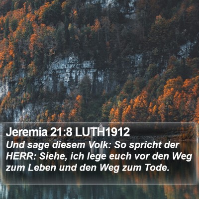 Jeremia 21:8 LUTH1912 Bible Verse Image