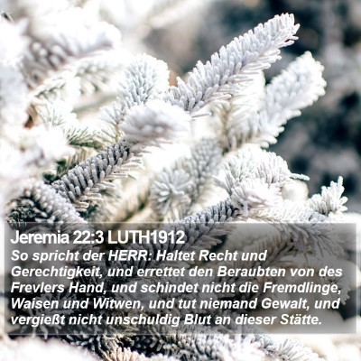 Jeremia 22:3 LUTH1912 Bible Verse Image