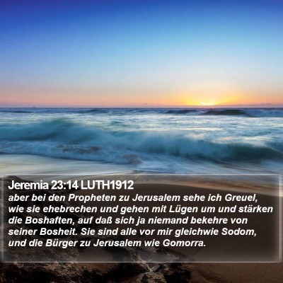 Jeremia 23:14 LUTH1912 Bible Verse Image