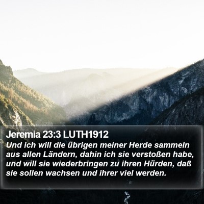 Jeremia 23:3 LUTH1912 Bible Verse Image