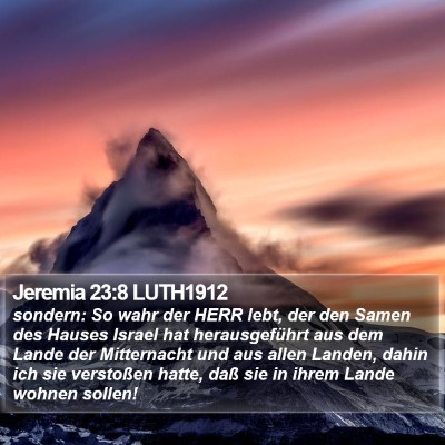 Jeremia 23:8 LUTH1912 Bible Verse Image