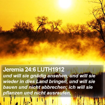 Jeremia 24:6 LUTH1912 Bible Verse Image