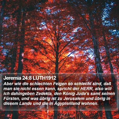 Jeremia 24:8 LUTH1912 Bible Verse Image