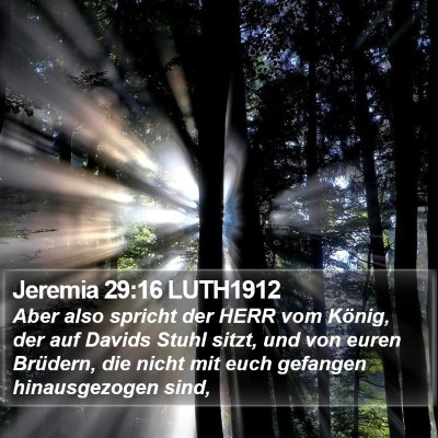 Jeremia 29:16 LUTH1912 Bible Verse Image