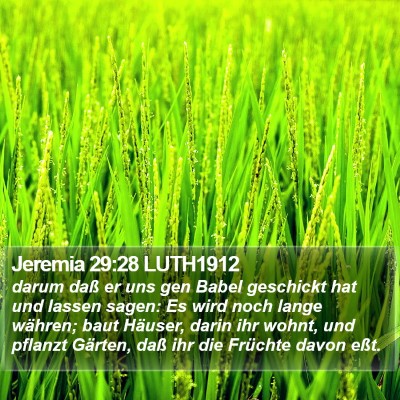 Jeremia 29:28 LUTH1912 Bible Verse Image