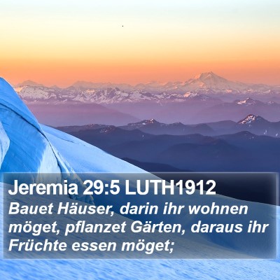 Jeremia 29:5 LUTH1912 Bible Verse Image