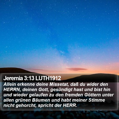 Jeremia 3:13 LUTH1912 Bible Verse Image
