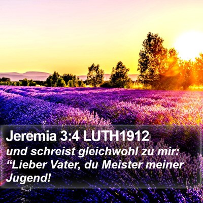 Jeremia 3:4 LUTH1912 Bible Verse Image
