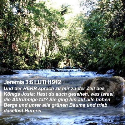 Jeremia 3:6 LUTH1912 Bible Verse Image