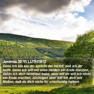 Jeremia 30:11 LUTH1912 Bible Verse Image