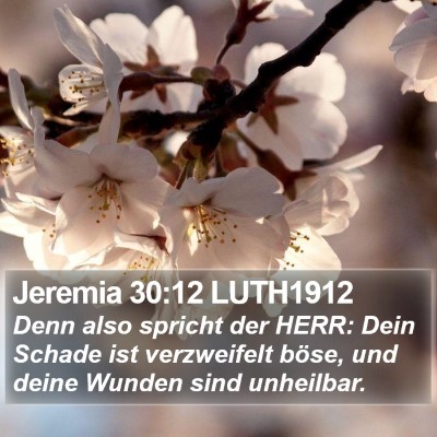 Jeremia 30:12 LUTH1912 Bible Verse Image