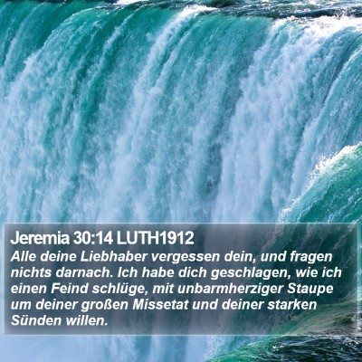 Jeremia 30:14 LUTH1912 Bible Verse Image