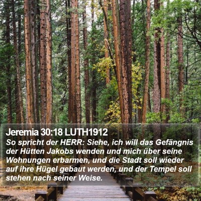 Jeremia 30:18 LUTH1912 Bible Verse Image