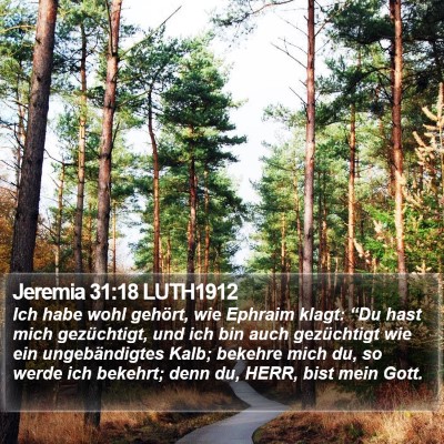 Jeremia 31:18 LUTH1912 Bible Verse Image