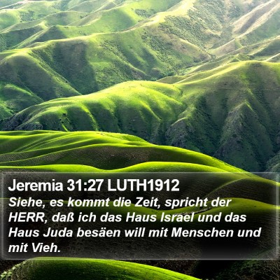 Jeremia 31:27 LUTH1912 Bible Verse Image