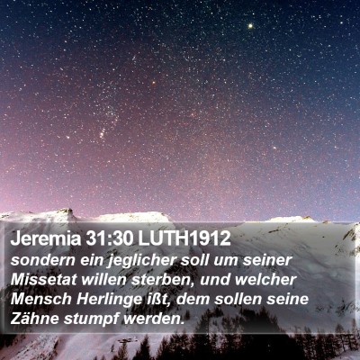 Jeremia 31:30 LUTH1912 Bible Verse Image