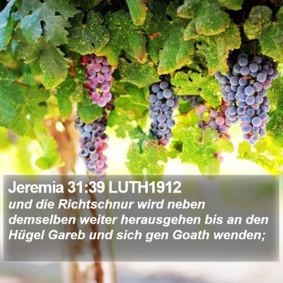 Jeremia 31:39 LUTH1912 Bible Verse Image