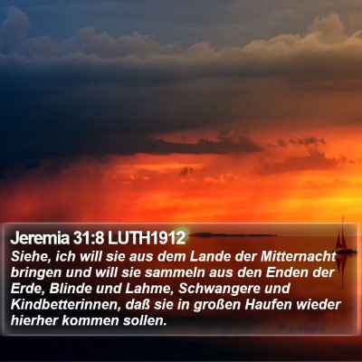Jeremia 31:8 LUTH1912 Bible Verse Image