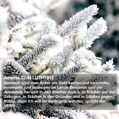 Jeremia 32:44 LUTH1912 Bible Verse Image