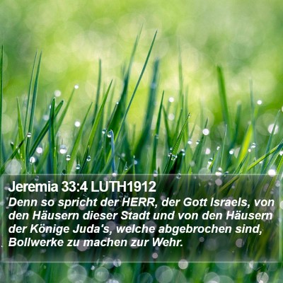 Jeremia 33:4 LUTH1912 Bible Verse Image
