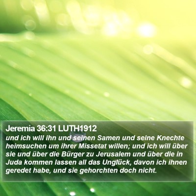 Jeremia 36:31 LUTH1912 Bible Verse Image
