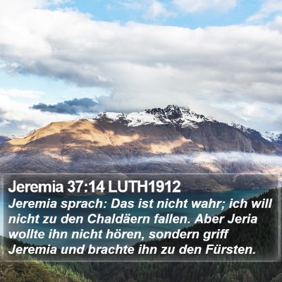 Jeremia 37:14 LUTH1912 Bible Verse Image
