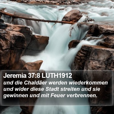 Jeremia 37:8 LUTH1912 Bible Verse Image