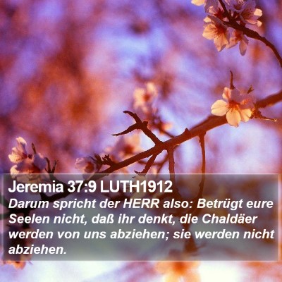 Jeremia 37:9 LUTH1912 Bible Verse Image
