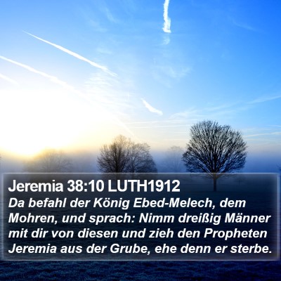 Jeremia 38:10 LUTH1912 Bible Verse Image