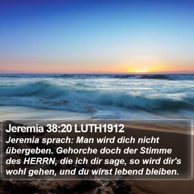 Jeremia 38:20 LUTH1912 Bible Verse Image