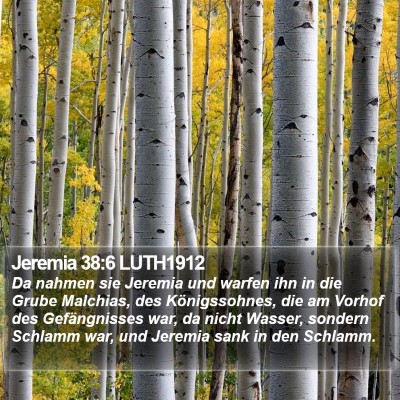 Jeremia 38:6 LUTH1912 Bible Verse Image