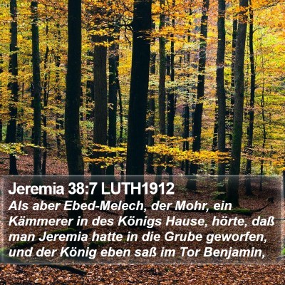 Jeremia 38:7 LUTH1912 Bible Verse Image